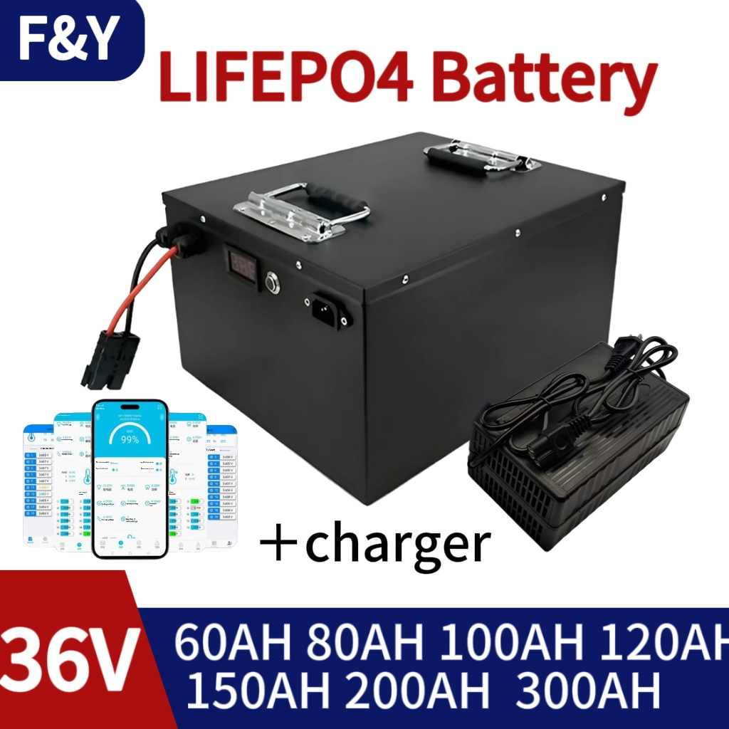 Lifepo4 Battery 36V 100Ah - LifePo4リチウム電池 36V ゴルフカート 電動車両用 充電器付き 60AH