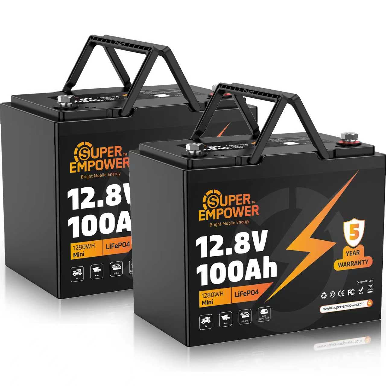 Lifepo4 Battery 12V 100Ah - 12V 100Ah LiFePO4リチウムバッテリー - BCIグループ24、低温保護機能付きディープサイクルRV LiFePO4バッテリー、100A