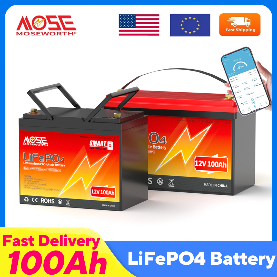 MOSEWORTH LiFePO4 12V 100Ah バッ - 12V 100Ah Lifepo4 Bluetooth Bms のレビューと価格