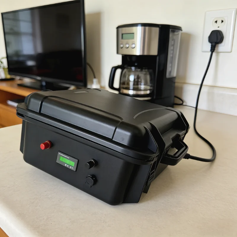 12V/24V LiFePO4 バッテリーパック (100A - 12V 100Ah Lifepo4 Bluetooth Bms のレビューと価格