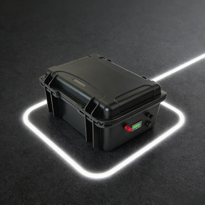 12V/24V LiFePO4 バッテリーパック (100A - 12V 100Ah Lifepo4 Bluetooth Bms のレビューと価格