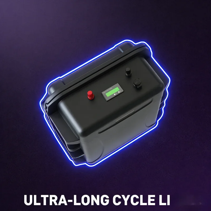 12V/24V LiFePO4 バッテリーパック (100A - 12V 100Ah Lifepo4 Bluetooth Bms のレビューと価格