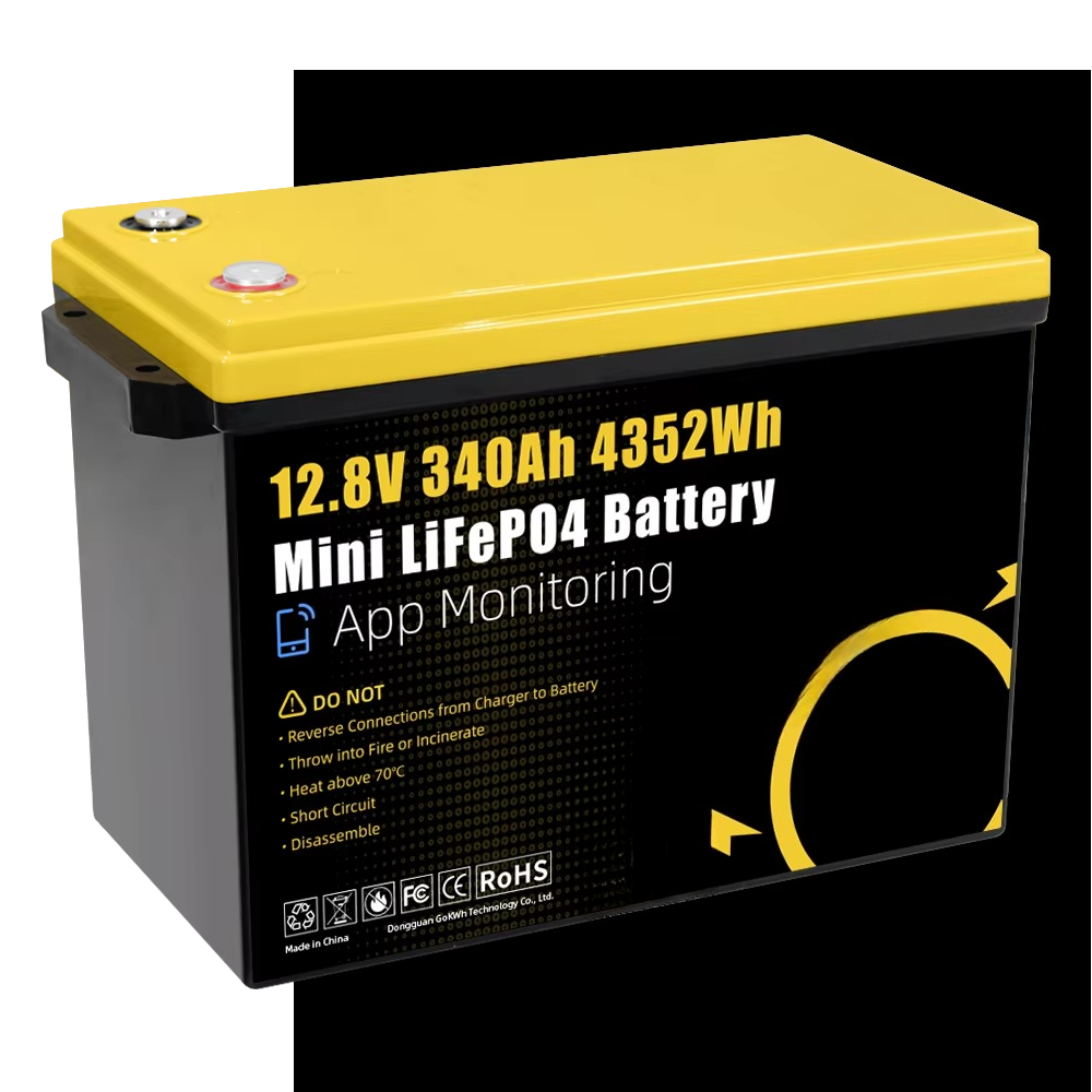 GoKWh マリン 12V LiFePO4 リチウムバッテリ - Lifepo4 Battery 24V 200Ah のレビューと価格
