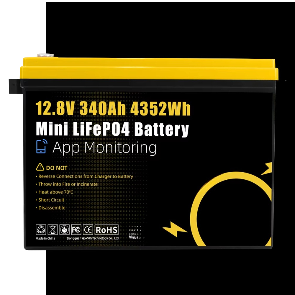 GoKWh マリン 12V LiFePO4 リチウムバッテリ - Lifepo4 Battery 24V 200Ah のレビューと価格