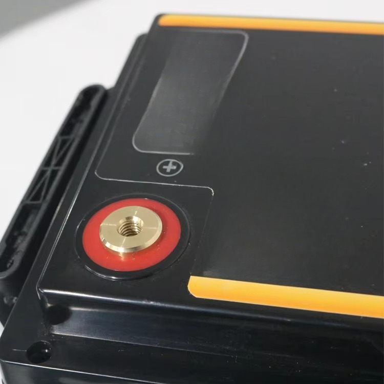 Lifepo4 12V 100Ah 200Ah 300Ah  - Lifepo4 Battery 24V 200Ah のレビューと価格