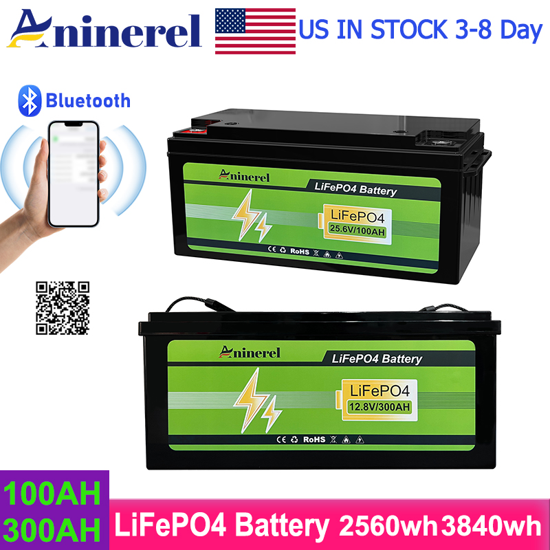 Aninerel 3840Wh 12V 300AH 24V  - Lifepo4 Battery 24V 100Ah Trolling Motor のレビューと価格