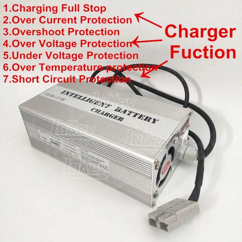 リチウム電池付き充電器,鉛蓄電池,調整可能,LiFePo4, - Lifepo4 Charger 48V 20A のレビューと価格