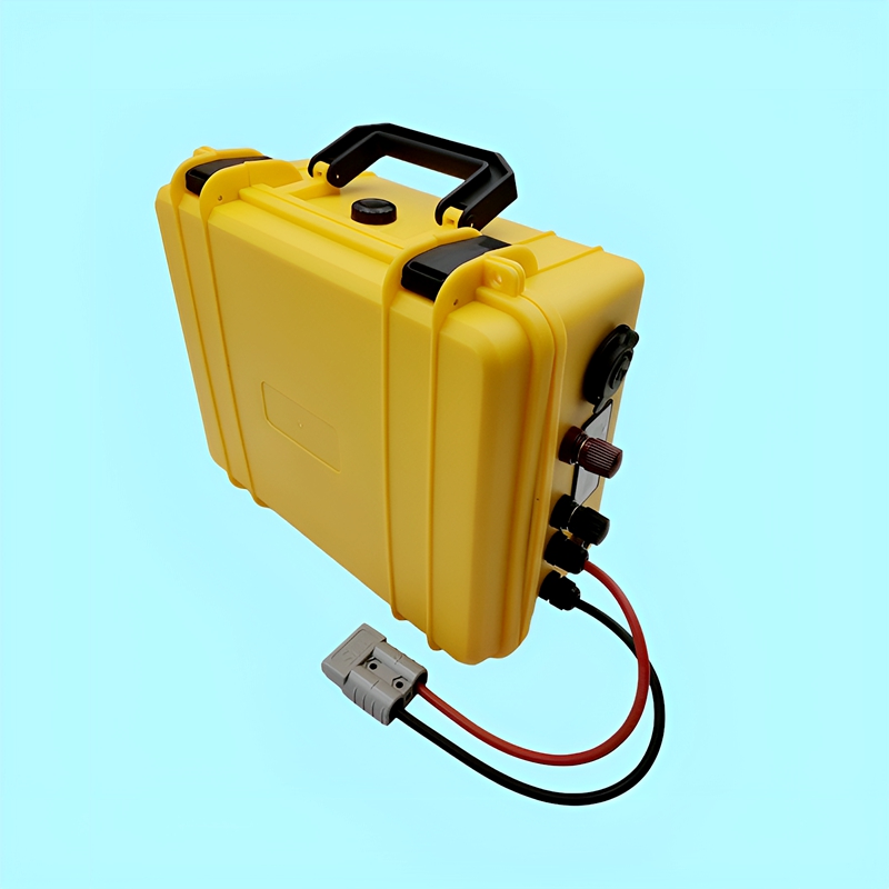 DS 防水リチウム電池 Lifepo4 24V 50Ah-2 - Lifepo4 Battery 24V 200Ah のレビューと価格