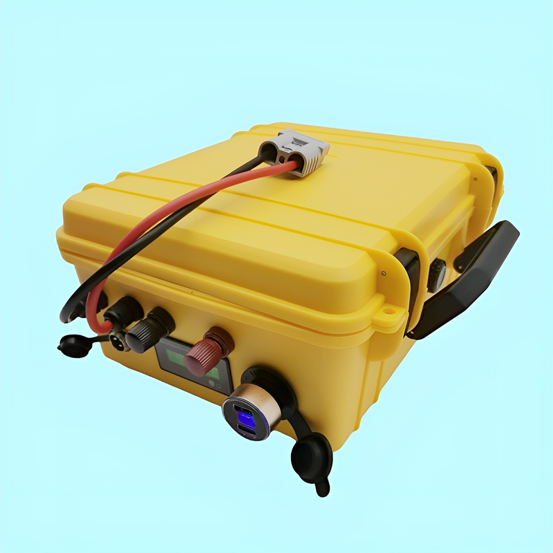 DS 防水リチウム電池 Lifepo4 24V 50Ah-2 - Lifepo4 Battery 24V 200Ah のレビューと価格