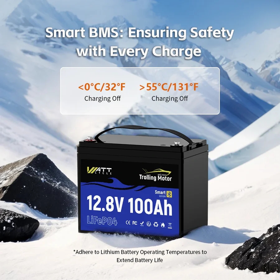 Wattcycle 12.8V 100Ah 120A BMS - 12V 100Ah Lifepo4 Bluetooth Bms のレビューと価格