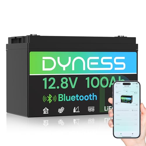 12V 100Ah Bluetooth対応LiFePO4バッ - 12V 100Ah Lifepo4 Bluetooth Bms のレビューと価格