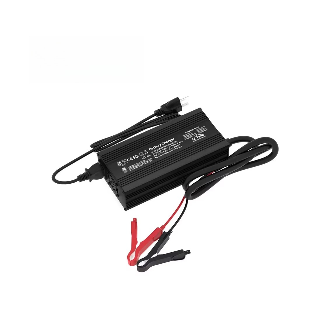 12V（14.6V）20A LiFePO4バッテリー充電器、 - Lifepo4 Battery 12V 100Ah のレビューと価格