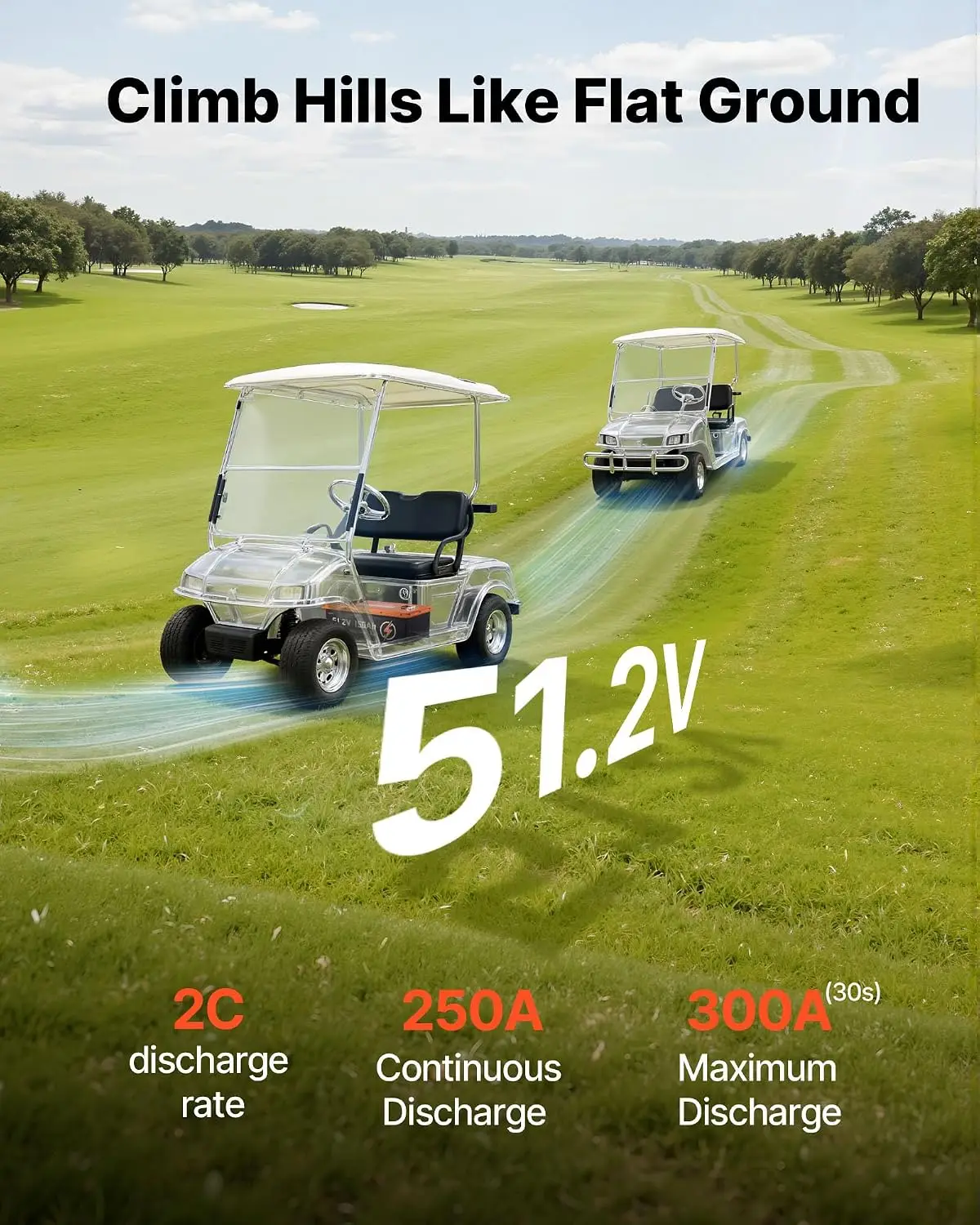 48V（51.2V）150AHリチウムゴルフカートバッテリー - Lifepo4 Charger 48V 20A のレビューと価格