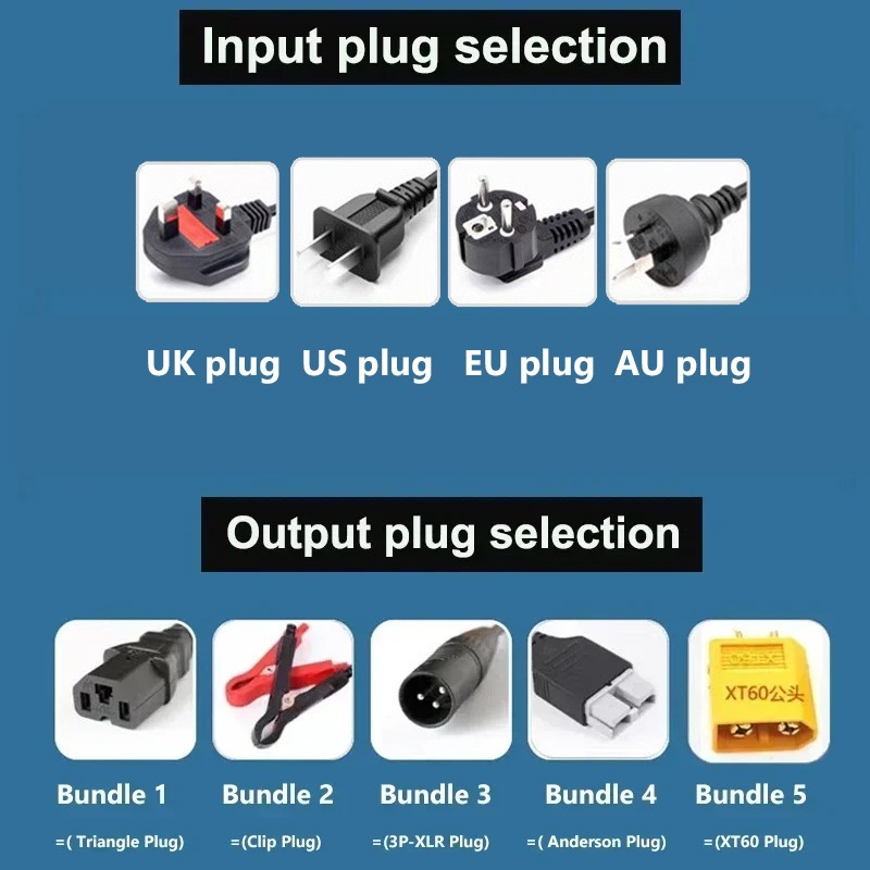 高出力48V 5A 8A 10A 12A 15A 20A電気 - Lifepo4 Charger 48V 20A のレビューと価格